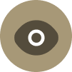 icono de vision
